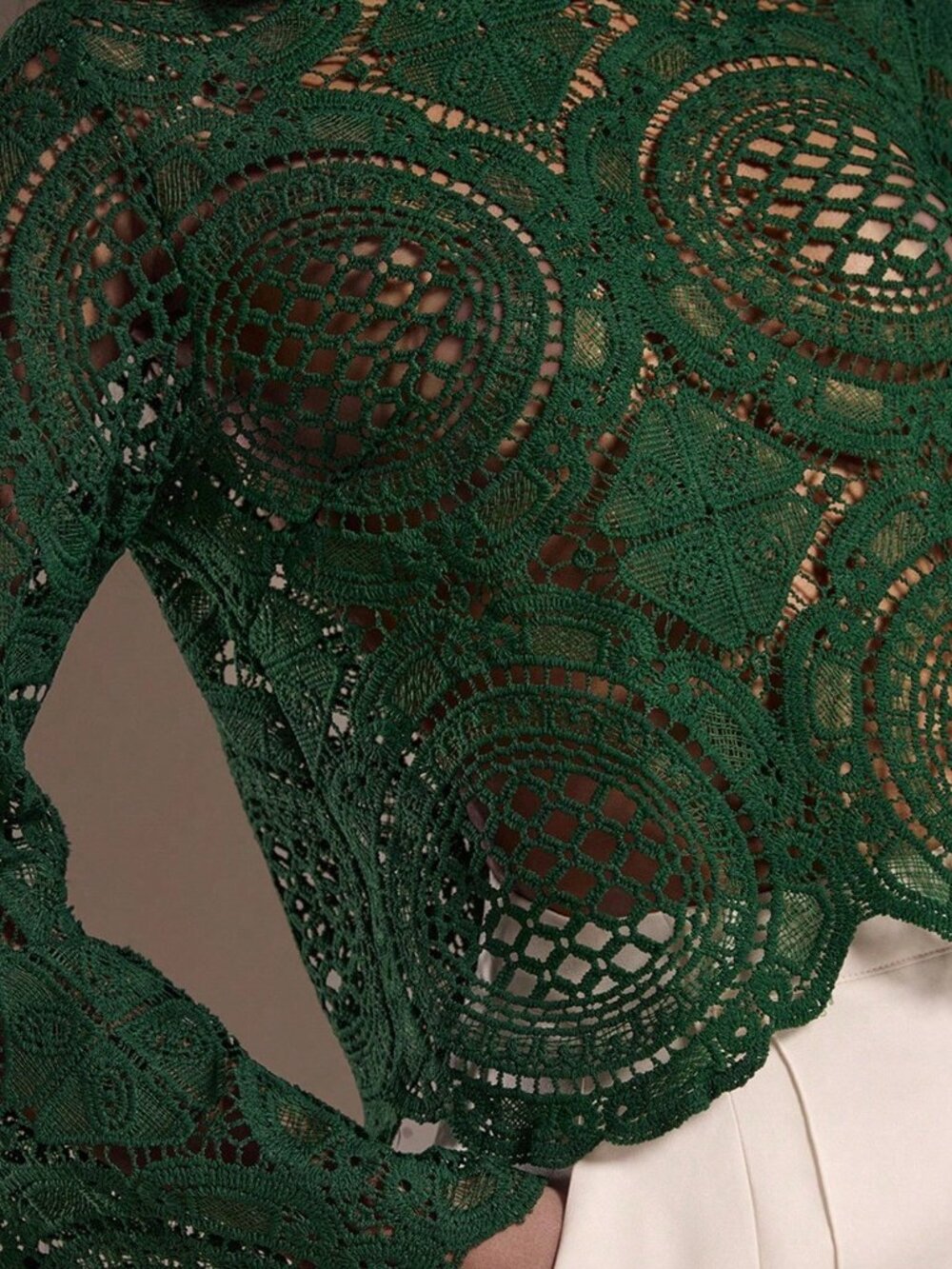 Dark Green Casual Women's Long Sleeve See-Through Top - Picture 6 of 6